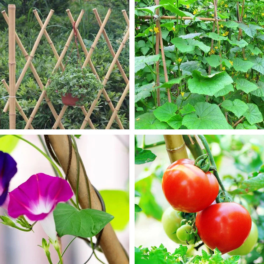 2 Ft Natural Bamboo Eco Friendly Garden Plant Stakes for Climbing Support 100 Pack