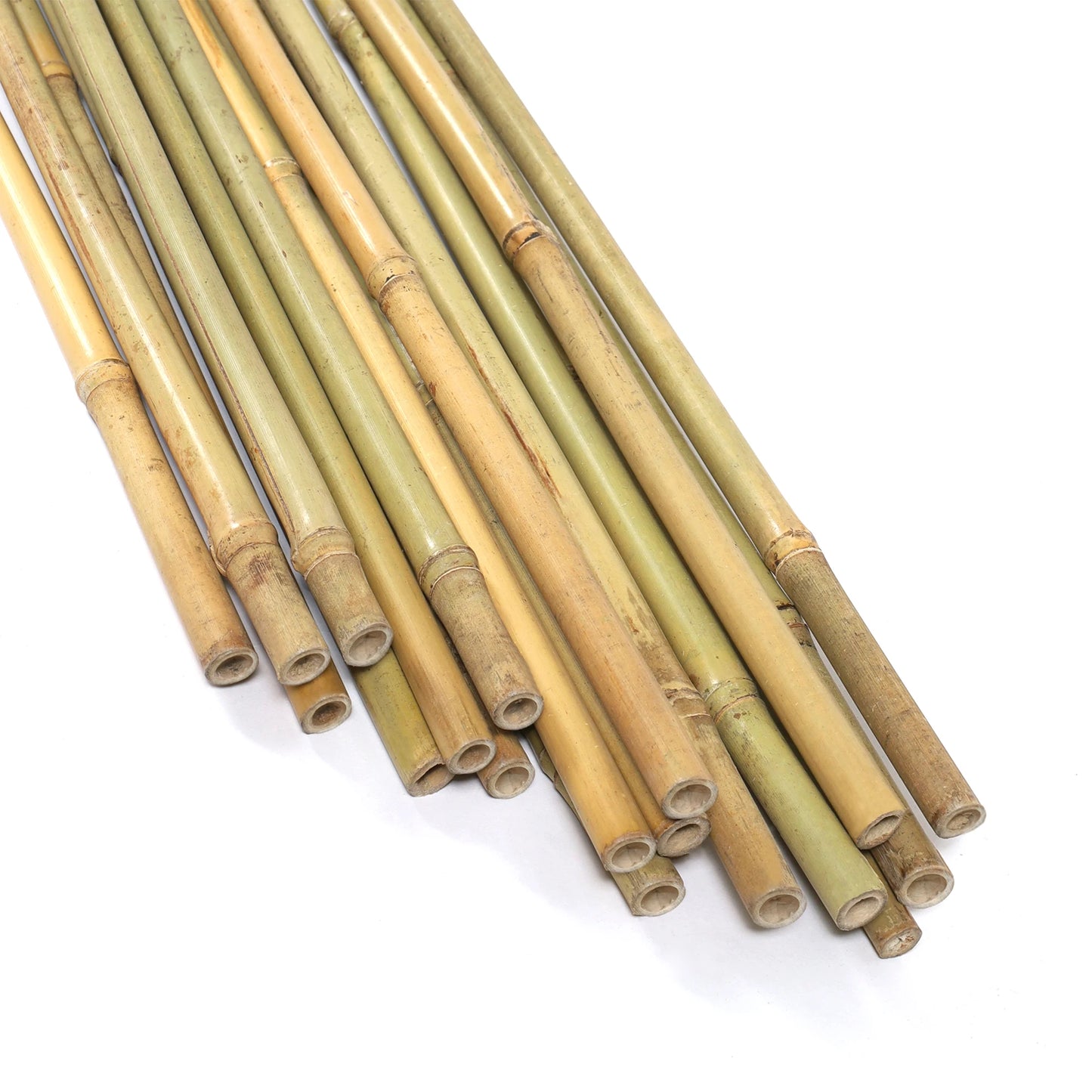 2 Ft Natural Bamboo Eco Friendly Garden Plant Stakes for Climbing Support 100 Pack