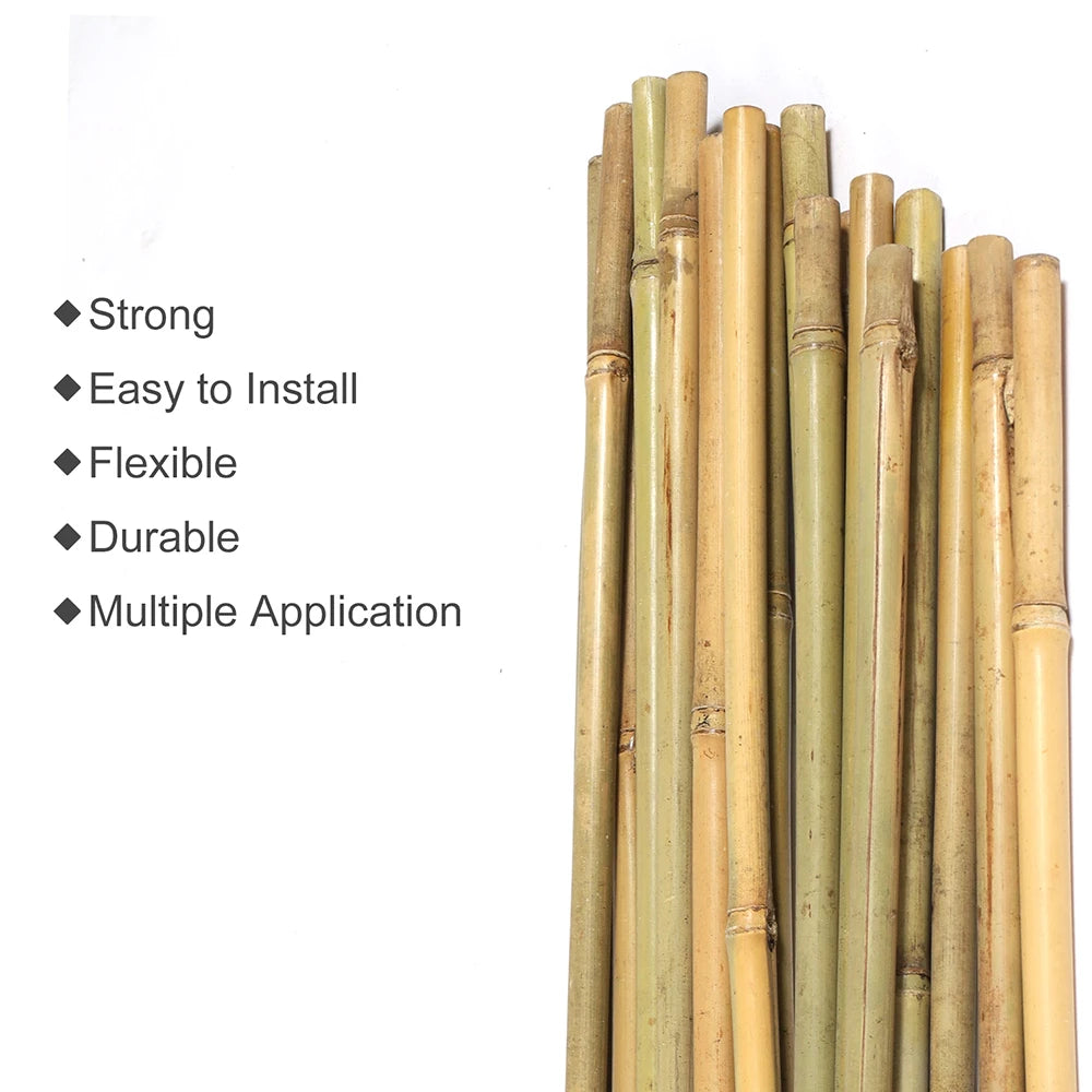 2 Ft Natural Bamboo Eco Friendly Garden Plant Stakes for Climbing Support 100 Pack