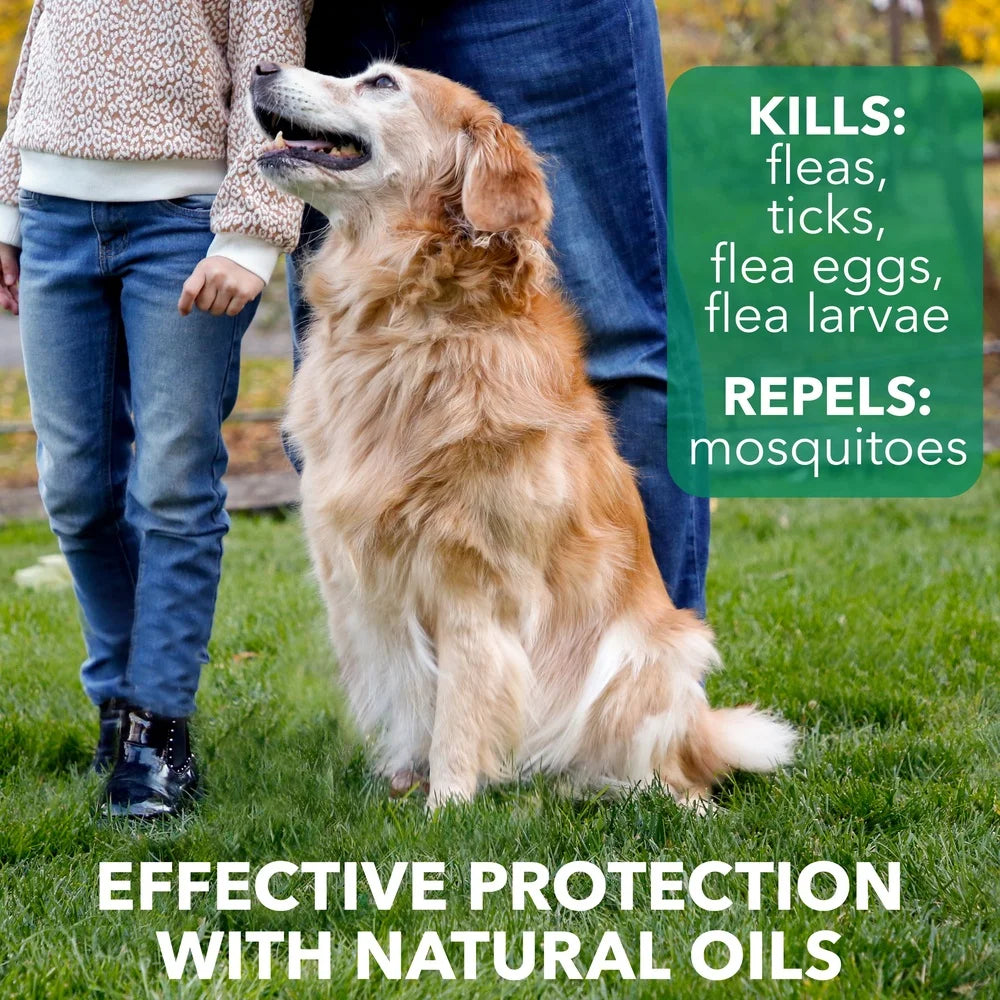 Natural Flea and Tick Dog Shampoo Plant Extracts Effective Mosquito Repellent Nourishing Coat Safe Kids Pets Home 14oz