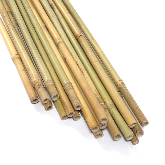 2 Ft Natural Bamboo Eco Friendly Garden Plant Stakes for Climbing Support 100 Pack